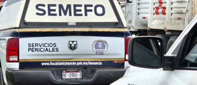 Adolescente sufre mortal descarga eléctrica, en la región de Huaniqueo