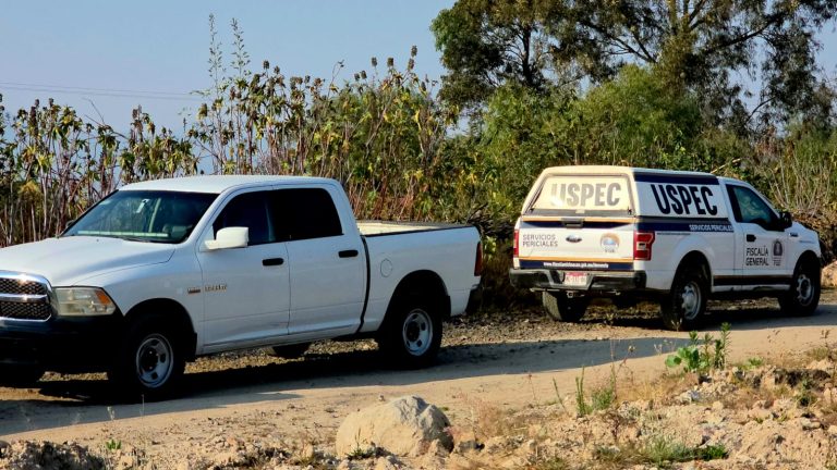 Hallan a hombre asesinado en huerto de aguacate ubicado en la región de Tacámbaro