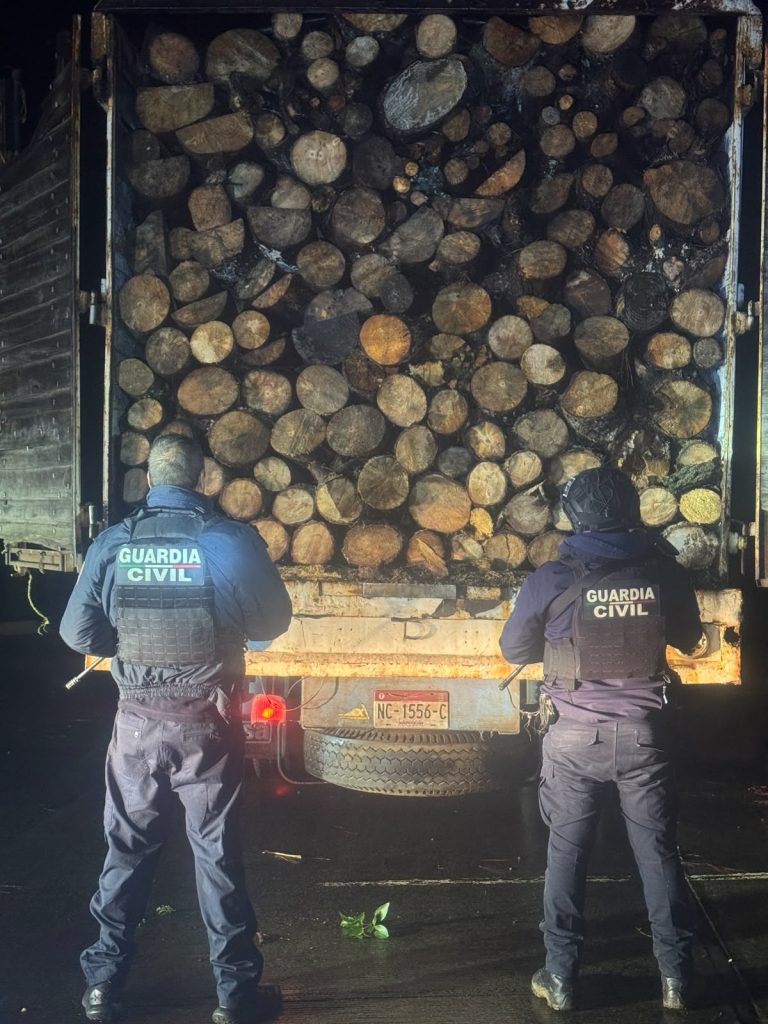 Asegura GC camión con aproximadamente 10 metros cúbicos de madera en rollo en Madero