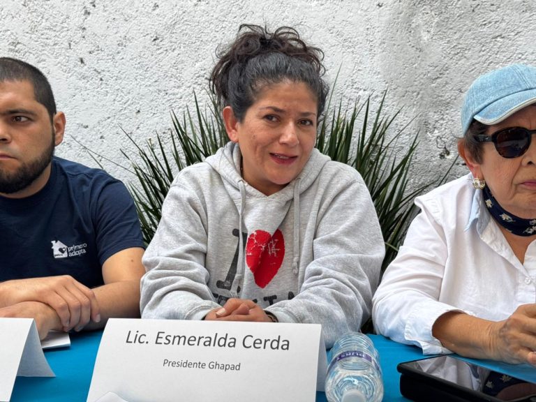  Fiebre por el pato Merlín dispara solicitudes de adopción y enciende alerta por cosificación animal: GHAPAD