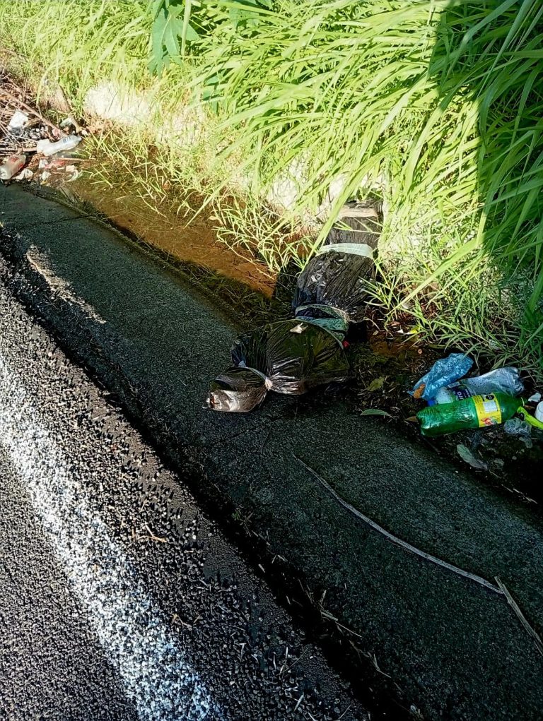 “Bulto” embolsado moviliza a policías, sobre la carretera «libre» Uruapan-Lombardía