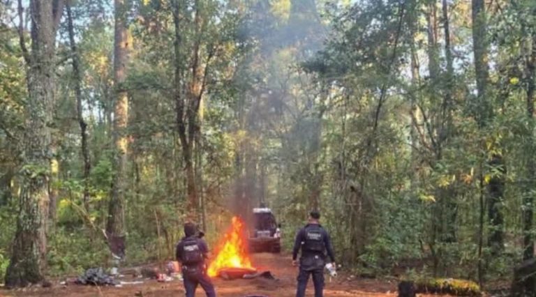 GC desmantela tres narcocampamentos en Salvador Escalante