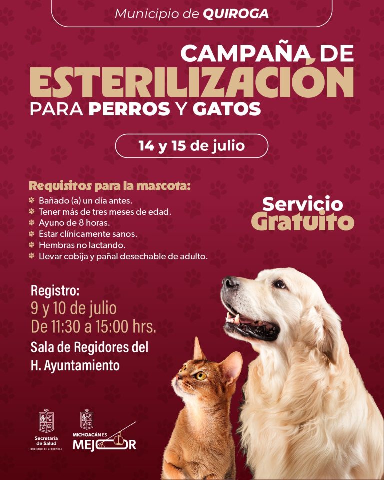 SSM llevará jornada gratuita de esterilización animal a Quiroga