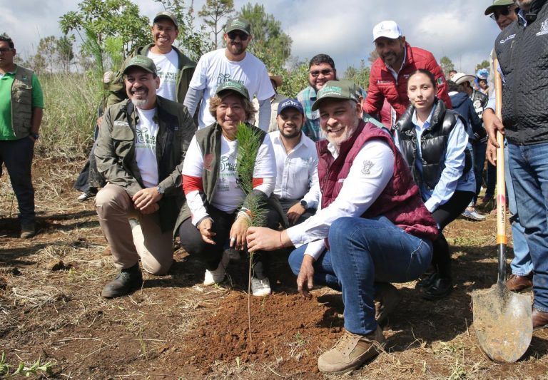 Sumarán 6 millones de árboles al rescate del lago de Pátzcuaro: Bedolla