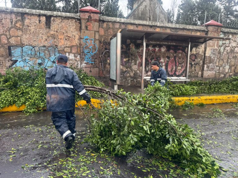 Atienden Brigadas Municipales reportes por lluvias de este viernes