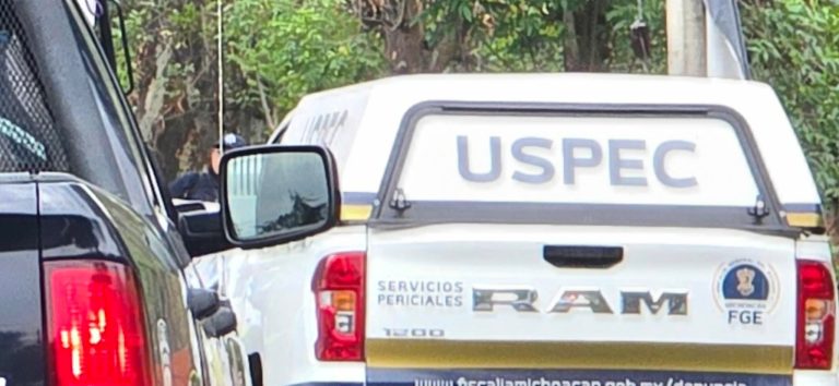 Hallan a mujer ejecutada de un balazo en la cabeza, en la región de Zinapécuaro
