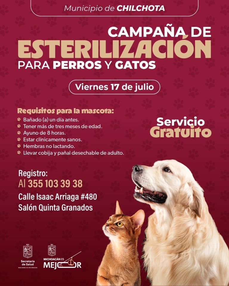 SSM realizará jornada gratuita de esterilización felina y canina en Chilchota