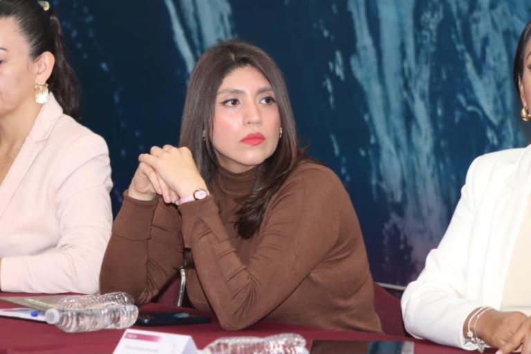 Seimujer respalda iniciativa de la presidenta Claudia Sheinbaum para combatir el feminicidio