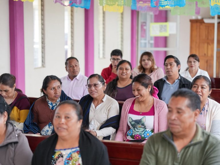 Respalda autogobierno de Santa Cruz Tanaco proyecto de Gladyz Butanda