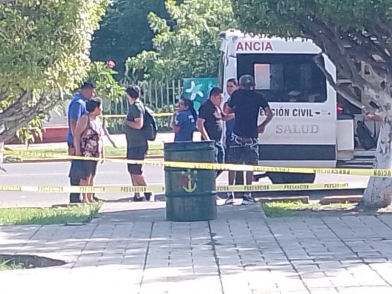 Abejas atacan a peatones en la zona Centro de Lázaro Cárdenas