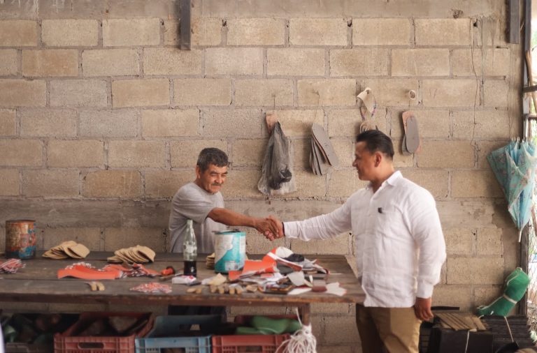 Campo y pequeñas empresas, claves para consolidar la Transformación en Michoacán: Torres Piña