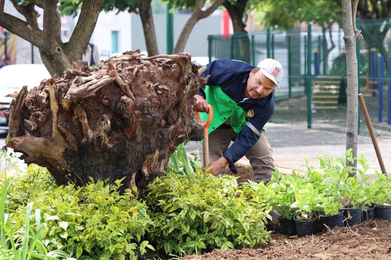 En breve se inaugurará el nuevo Parque lineal de Avenida Quinceo: Alfonso Martinez
