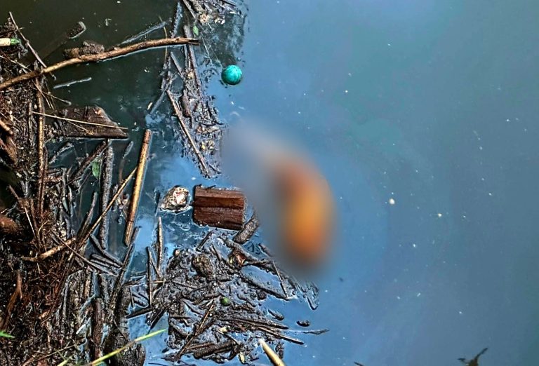 Adulto mayor es localizado sin vida debajo de puente vehicular, en Morelia