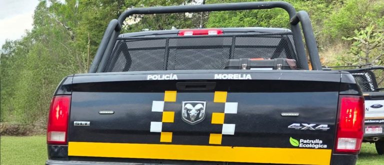 Muere hombre que fue baleado por jinete durante fiesta religiosa en San Miguel del Monte
