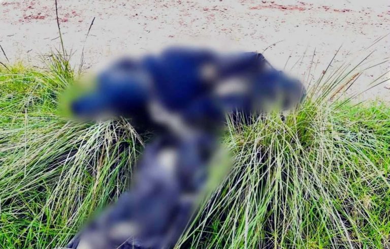 Hallan a hombre asesinado y encobijado cerca de la carretera Epitacio Huerta-Contepec