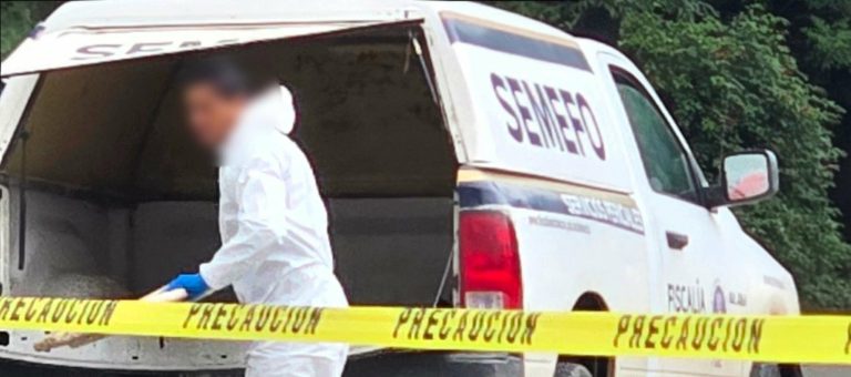 Hallan a hombre sin vida colgado de un árbol en la colonia Simpanio Norte