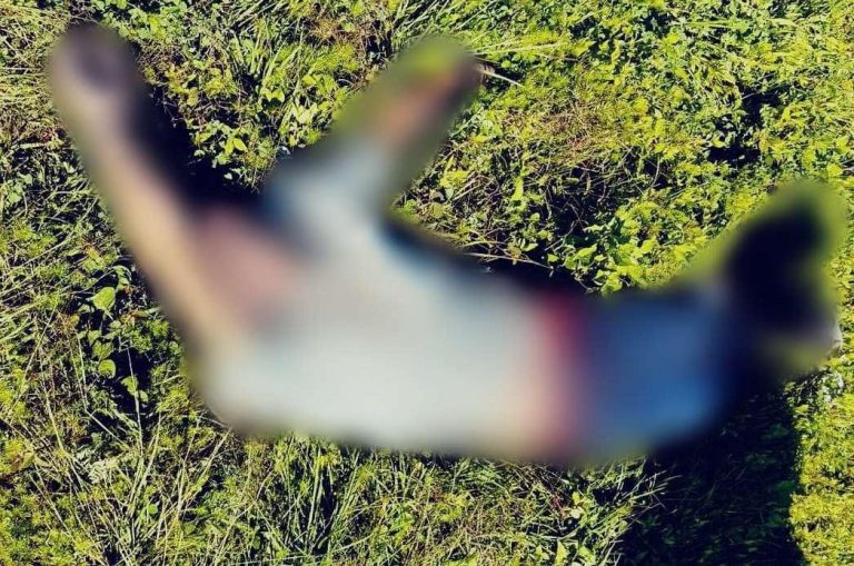 Hallan a un hombre sin vida en un camino rural de Ario de Rosales
