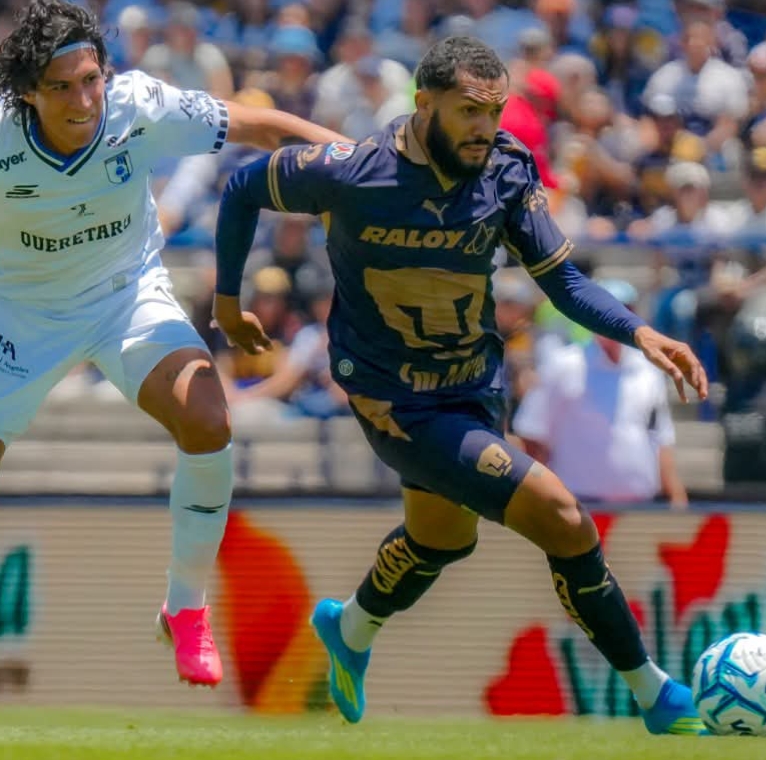 Aburren Pumas y Gallos