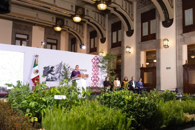 Presidenta presenta la Jornada Nacional de Reforestación 2026; se plantarán 6.6 millones de árboles y plantas