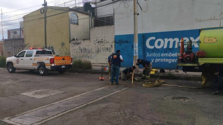 Rescatan a 5 patitos atrapados en una alcantarilla de Morelia