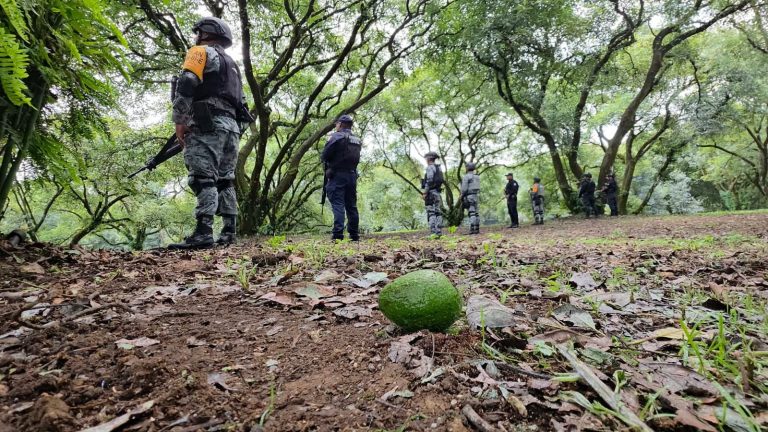 Gobierno de EE. UU. suspende sus actividades en Michoacán; APEAM reporta afectación directa