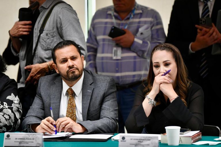 Armando Tejeda exige a la Federación acciones concretas e inmediatas ante el cierre de exportaciones de aguacate de Michoacán