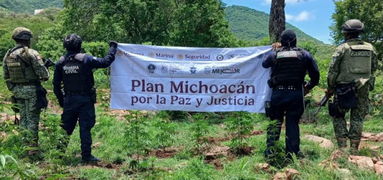 SSP y Defensa localizan e incineran 861 kilos de marihuana en Huetamo
