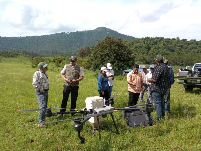 Michoacán rebasa su meta al dispersar 204 mil semillas con tecnología de drones
