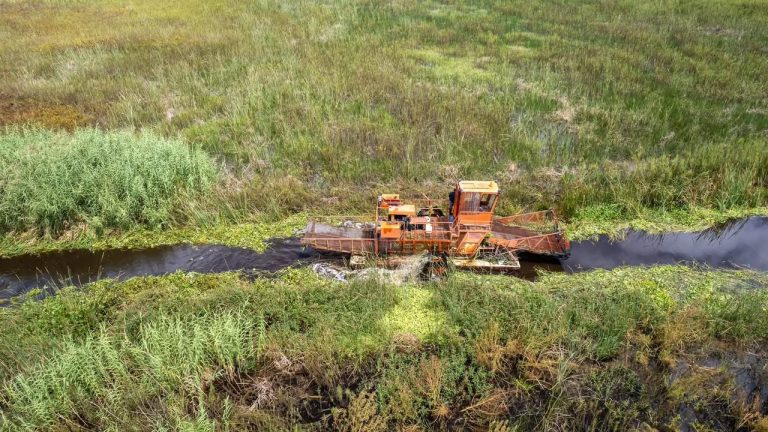 Intensifican trabajos de recuperación en el lago de Cuitzeo con maquinaria especializada