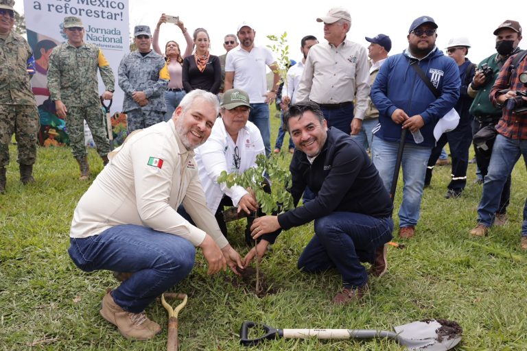 Más de 10 mil michoacanos se suman a la Jornada Nacional de Reforestación: Bedolla