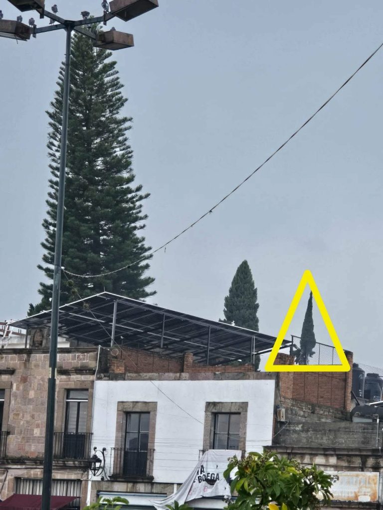 Rayo incendia árbol en la colonia Centro de Morelia