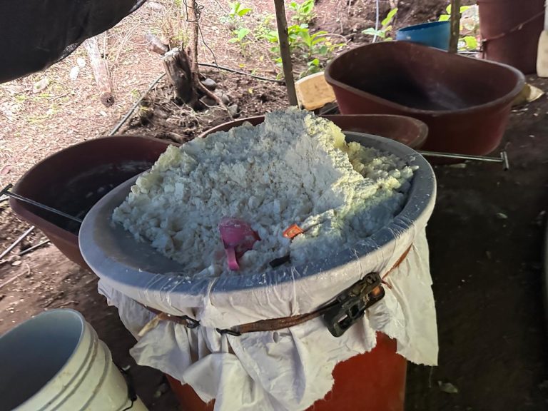 Ejército Mexicano y Guardia Nacional detiene a 15 presuntos delincuentes, asegura 3 laboratorios y armamento en Michoacán