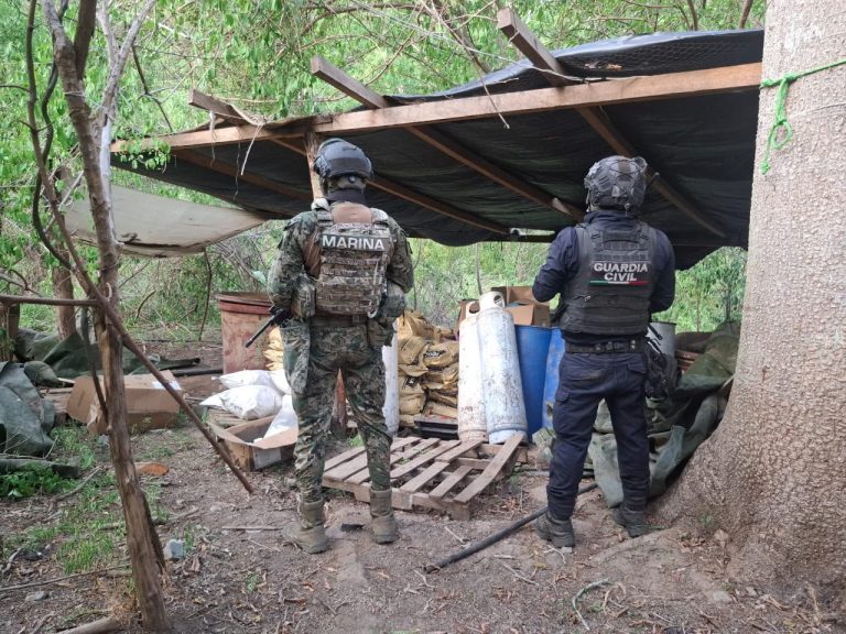Fuerzas estatales y federales desmantelan laboratorio de drogas sintéticas en Lázaro Cárdenas
