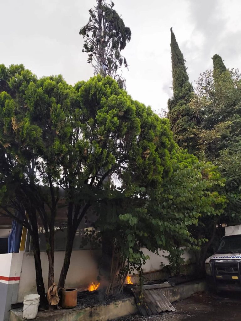 Árbol se incendia tras ser impactado por un rayo, en la colonia Bocanegra de Morelia