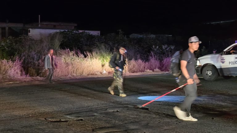 Excursionistas son atacados por abejas en el Cerro de la Beata y son rescatados tras operativo de corporaciones de auxilio