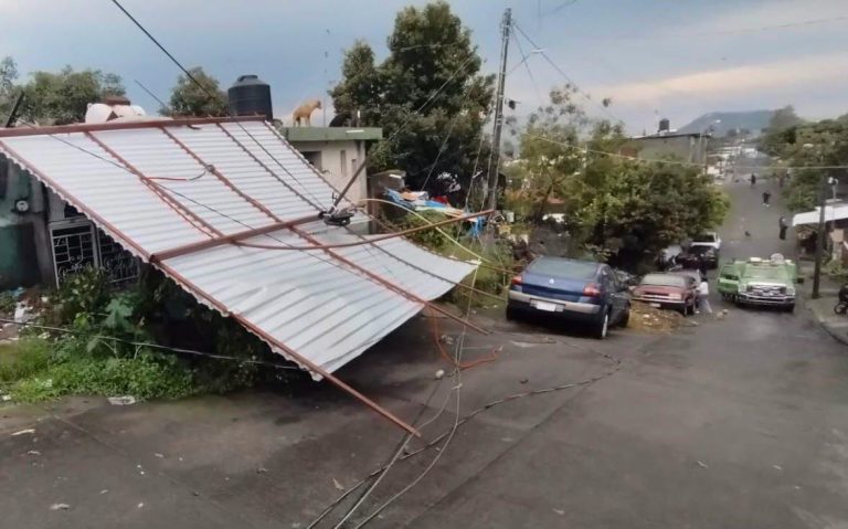 Fuerte tromba derriba árboles y causa afectaciones en distintos puntos de Uruapan