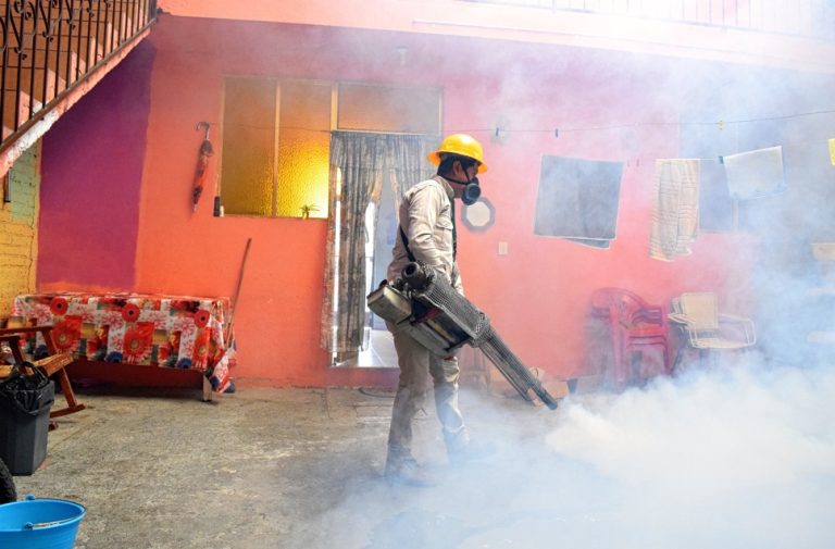 Michoacán reduce en 84% los casos de dengue con labor del personal de vectores