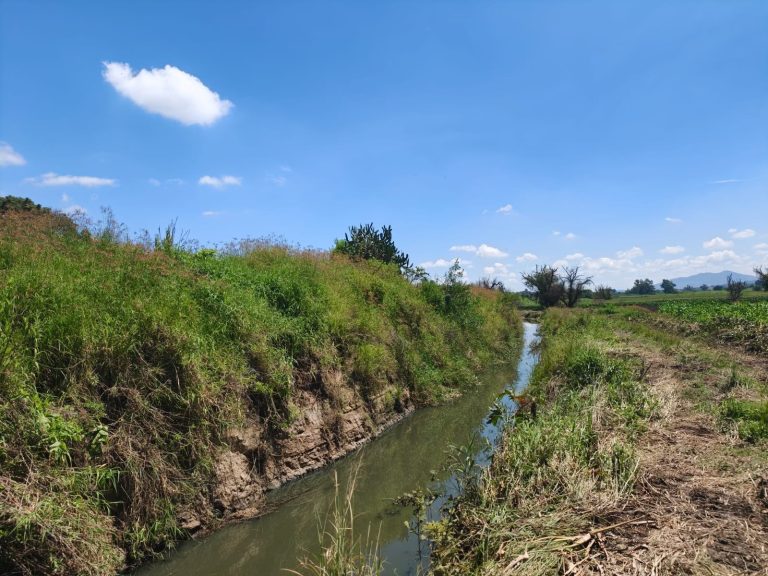 Avanza al 60% la limpieza del canal entre La Mintzita y San Juanito Itzícuaro en Morelia: Rogelio Zarazúa