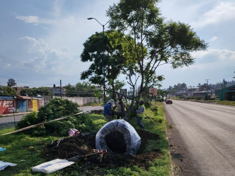 Cumple Gobierno del Estado con permisos ambientales del Morebús otorgados por el Ayuntamiento de Morelia