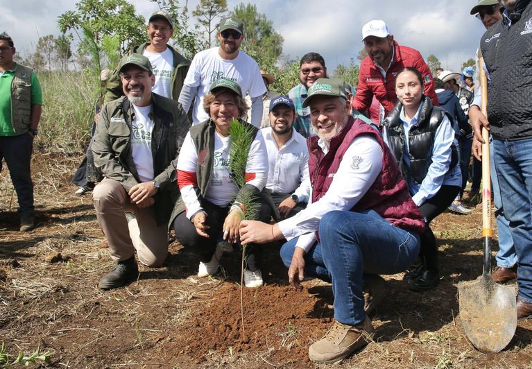Arrancará mañana reforestación de 32 mil árboles en la ruta del Morebús: Bedolla