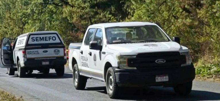 Hallan a dos hombres muertos y con huellas de violencia, en Turicato