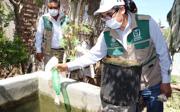 Recomienda IMSS Michoacán realizar acciones preventivas contra el dengue