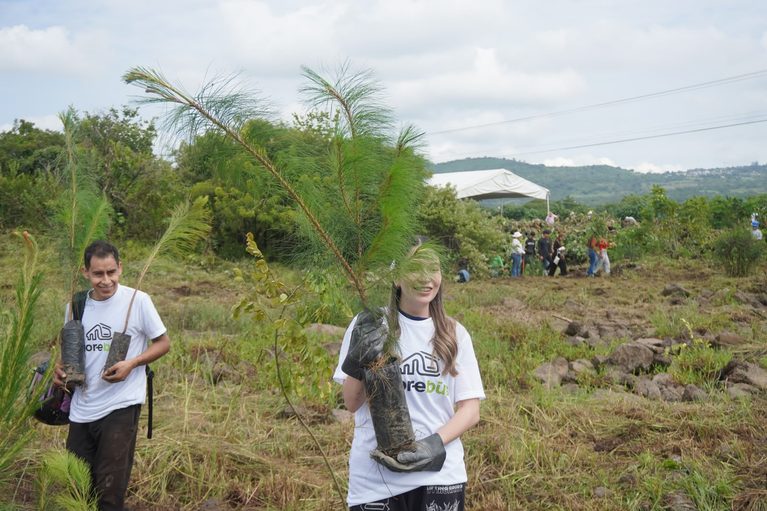 Zona de Tres Puentes contará con Corredor Ecológico; habrá árboles trasplantados y especies nativas