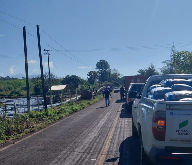 Mujer muere tras ser arrollada mientras se ejercitaba en su bicicleta, en Tocumbo