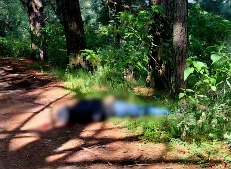 Hallan a hombre asesinado en un camino rústico de la región de Tlalpuhahua