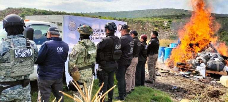 Destruyen droga, precursores químicos y objetos del delito asegurados en operativos registrados en Michoacán