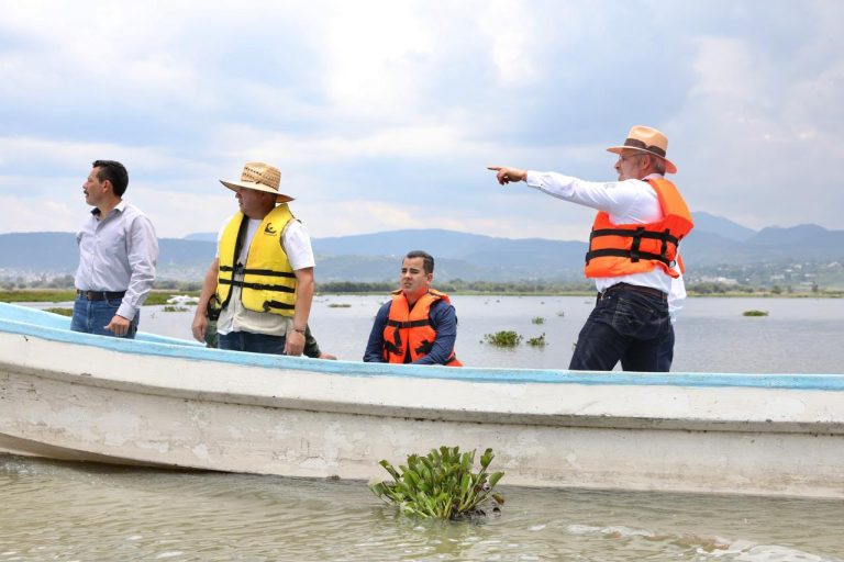 Avanza retiro de lirio en Presa Malpaís de Queréndaro; 500 hectáreas serán limpiadas: Bedolla
