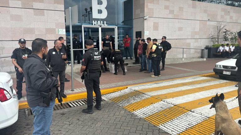 Pareja es detenida por agentes federales en la TAM; decomisan varios kilos de marihuana