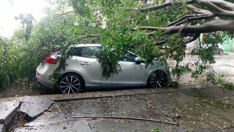 Tormenta eléctrica provoca inundaciones, caída de árboles y apagones en Morelia