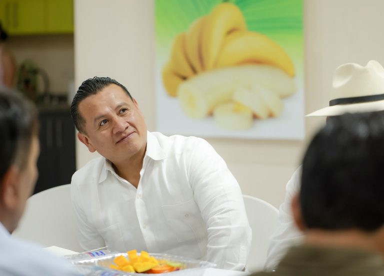 Torres Piña respalda política fiscal de Sheinbaum: que pague quien debe y que el recurso llegue al pueblo